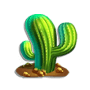 Cactus