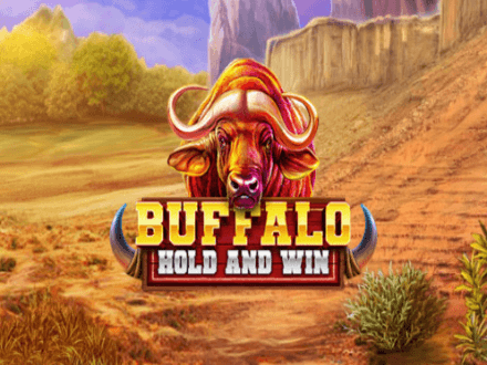 Buffalo Hold and Win