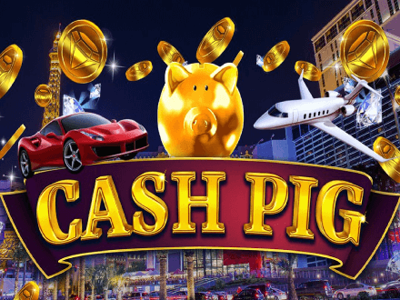 Cash Pig