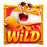 Wild tiger